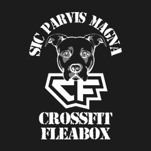 CrossFit Fleabox