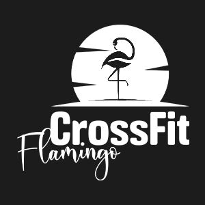 CrossFit Flamingo