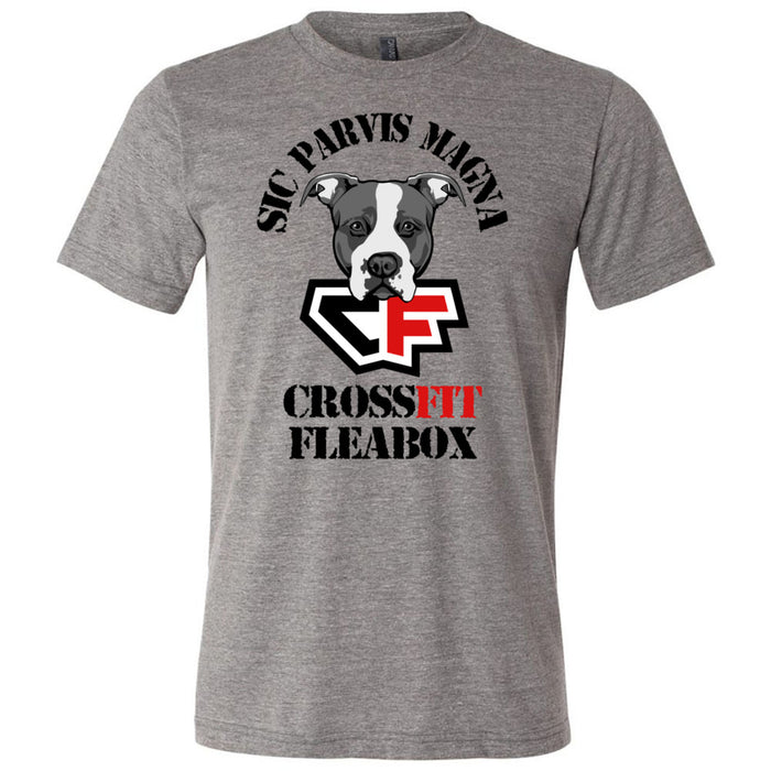 CrossFit Fleabox - 100 - Standard - Men's Triblend T-Shirt