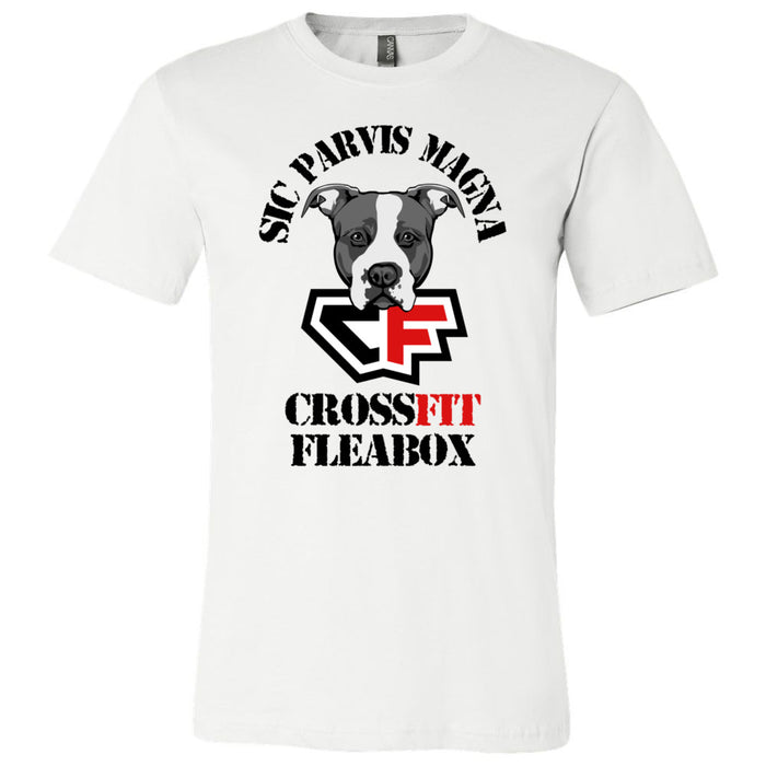 CrossFit Fleabox - 100 - Standard - Men's T-Shirt