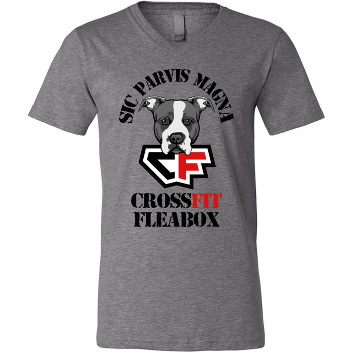 CrossFit Fleabox - 100 - Standard - Men's V-Neck T-Shirt